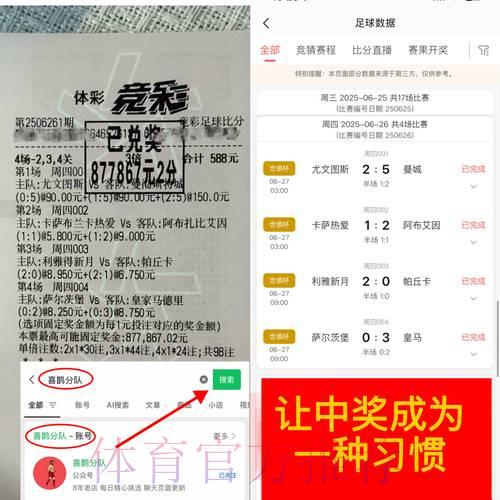 世界杯竞猜平台：老玩家亲授实战技巧与心得