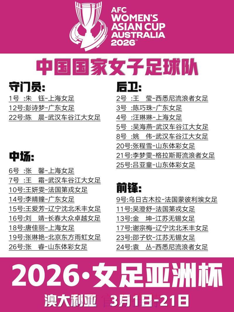 2026年女足世界杯决赛直播收视人次深度解析